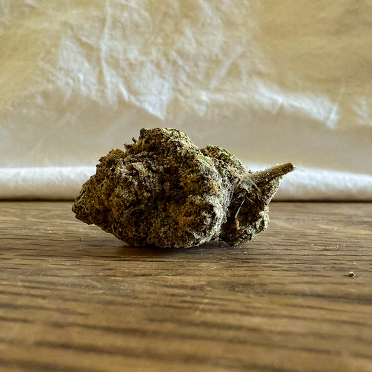 Gelato 41